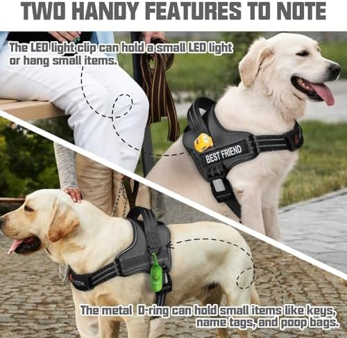 AUROTH Dog Harness and Leash Set - Image 3