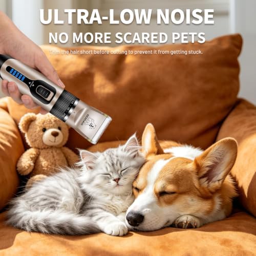 Dog Clippers Grooming Kit and Trimmer - Image 2