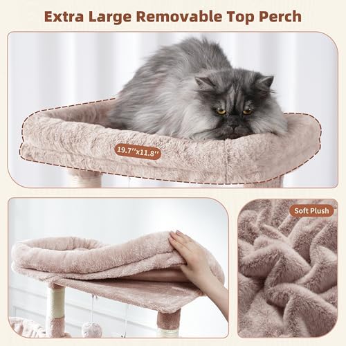 Gitelsnour Cat Tree, Big Hammock GCT020MU - Image 3