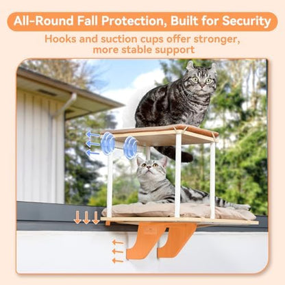 PETSFIT Cat Window Perch, Dual-Level, Suction Cups & Wood Base, Large Cats - Image 2