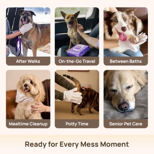 HICC PET Dog Wipes for Dogs & Cats, Glove Design - Image 5