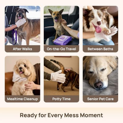 HICC PET Dog Wipes for Dogs & Cats, Glove Design - Image 5