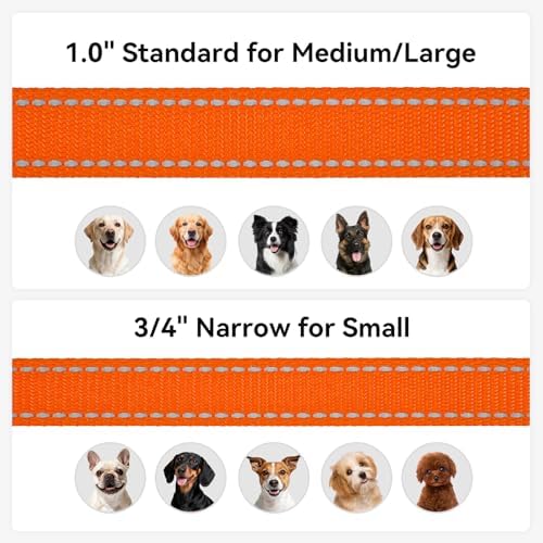 Joytale Reflective Dog Leash for Small Dogs, 6 FT x 3/4" - Image 6