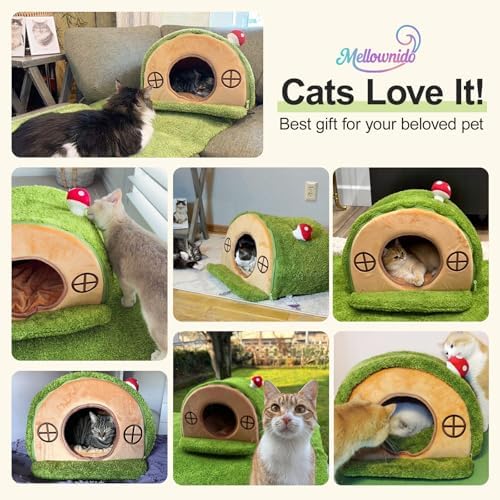 Cat House for Indoor Cats - Image 4