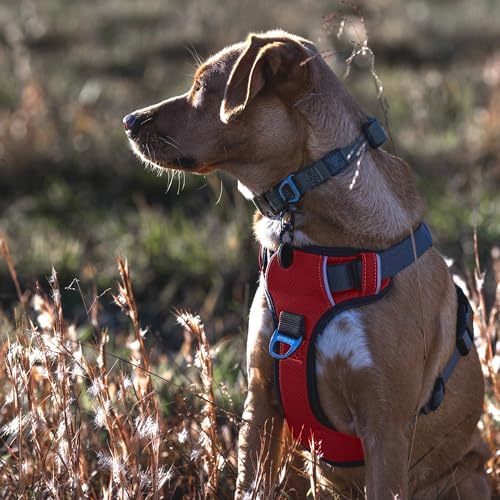 Embark No Pull Dog Harness, Reflective Adjustable Training Vest, No Choke - Image 2