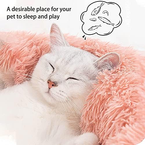 Large Cat Beds for Indoor Cats - Image 3