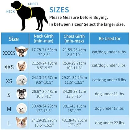 AIITLE Step in Dog Harness & Leash Set - Image 3