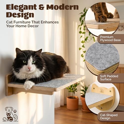 Snuggle & Play Cat Wall Shelves & Climbing System – Modern Furniture Set - Image 5