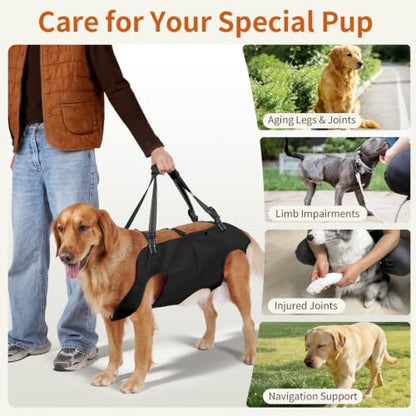 Mayerzon Full Body Dog Lift Harness, Support Senior & Disabled Dogs Walking - Image 3