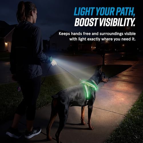 noxgear LightHound Light Up Reflective Dog Harness and Wrist Light - Image 2