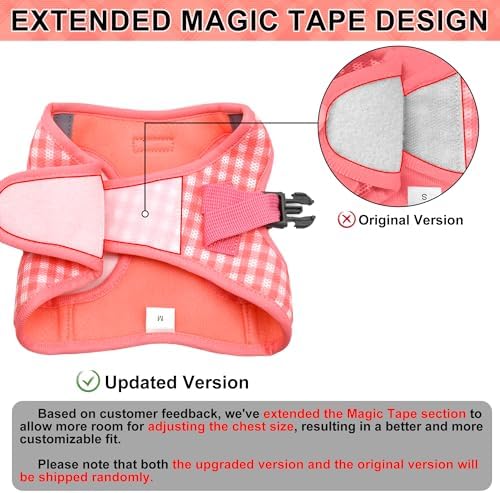 AIITLE Step in Small Dog Harness and Leash Set, Pet Vest, Watermelon S - Image 2
