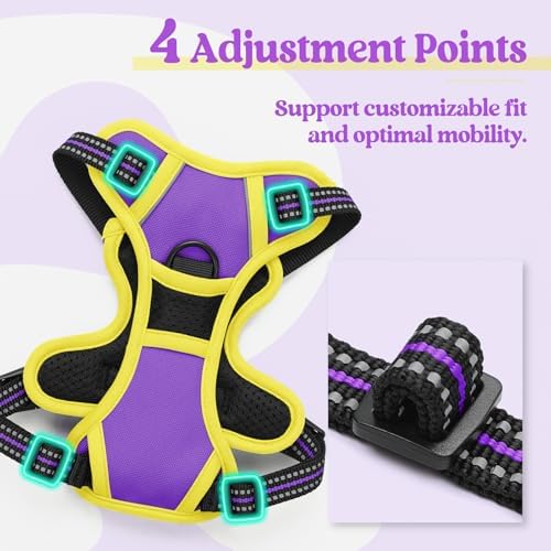 rabbitgoo Dog Harness, No Pull for Small Dogs - Image 4
