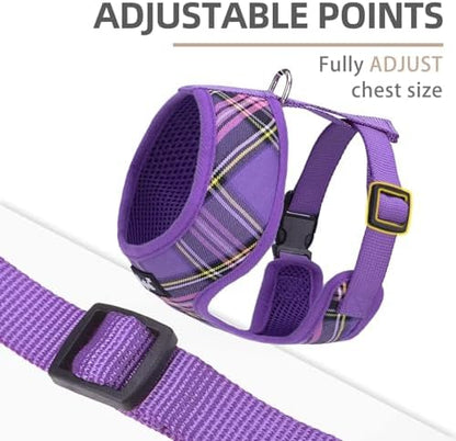 PUPTECK Small Dog Harness and Leash Set No Pull - Image 3