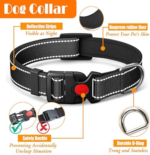 LOBEVE No Pull Dog Harness, Collar & Leash Set - Image 6
