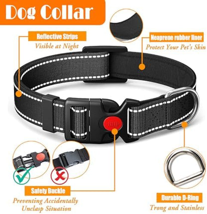LOBEVE No Pull Dog Harness, Collar & Leash Set - Image 6