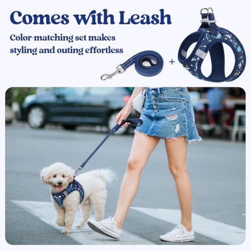 rabbitgoo Dog Harness Medium Sized and Leash Set, Step-in Puppy Pet Vest - Image 6