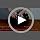 Timos Dog Harness, Front Clip No Pull Medium Sized - Image 7