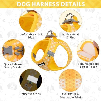 AIITLE Step in Medium Dog Harness and Leash Set, Puppy Pet Vest - Image 4