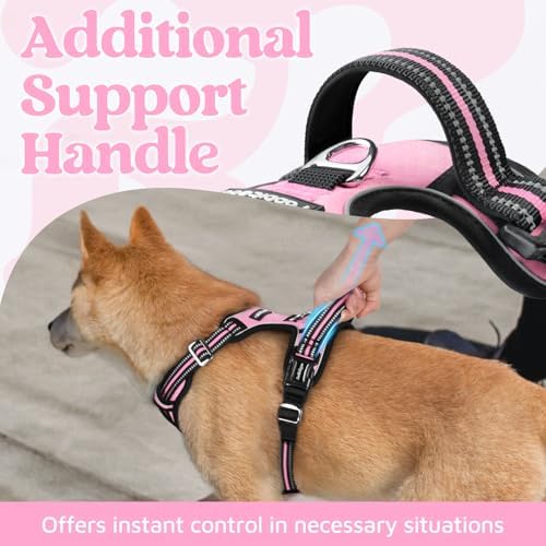 rabbitgoo Dog Harness for Large, No Pull 3 Buckles Easy On & Off - Image 4