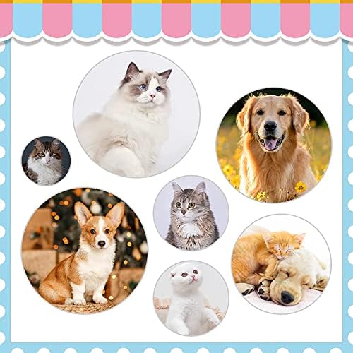 Cat Brushes for Indoor Cats, Dog Brush for Shedding - Image 5