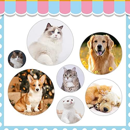 Cat Brushes for Indoor Cats, Dog Brush for Shedding - Image 5