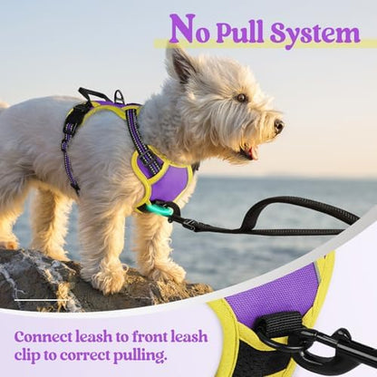 rabbitgoo Dog Harness, No Pull for Small Dogs - Image 5
