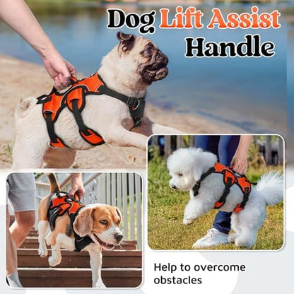 rabbitgoo Escape Proof Dog Harness - Image 3