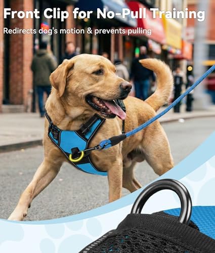 Joytale No Pull Dog Harness for Large Dogs, Front Clip, Sky Blue - Image 2