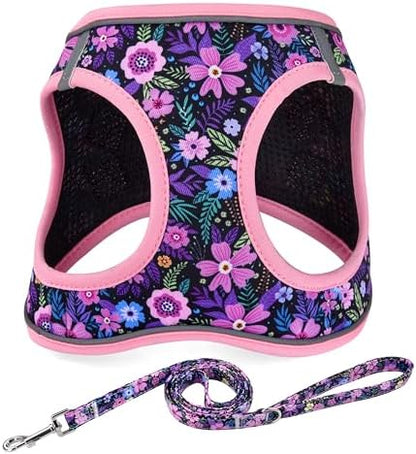 Mihqy Step in Dog Harness and Leash Set, Breathable Mesh by Mihqy