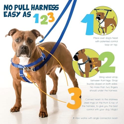 2 Hounds Design Freedom No Pull Dog Harness and Leash - Image 3