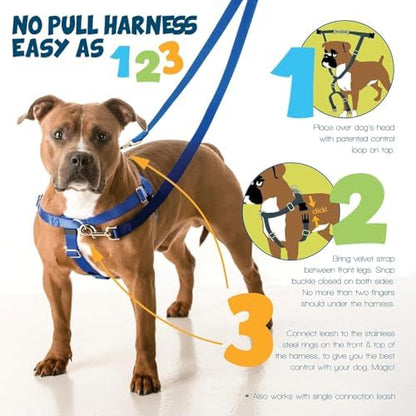 2 Hounds Design Freedom No Pull Dog Harness and Leash - Image 3