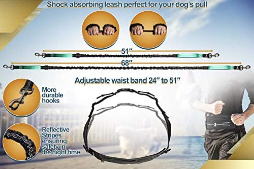 SparklyPets Hands Free Dog Leash, Medium & Large Breeds, Premium Teal - Image 6