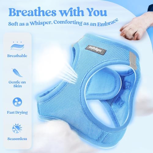 rabbitgoo Dog Harness Medium Sized and Leash Set, Step-in Puppy Pet Vest - Image 3