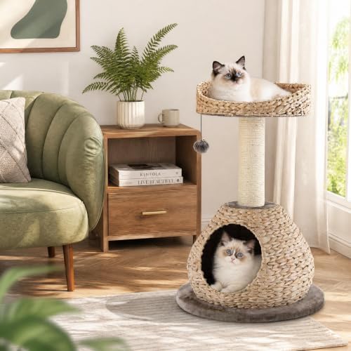 PETSITE Modern Cat Tree Tower, Paper Rope Natural Bowl Shaped by PETSITE