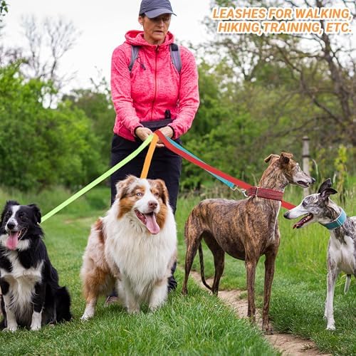 12 Pack Bulk Dog Leashes, 4FT Pet Lead Leash - Image 4