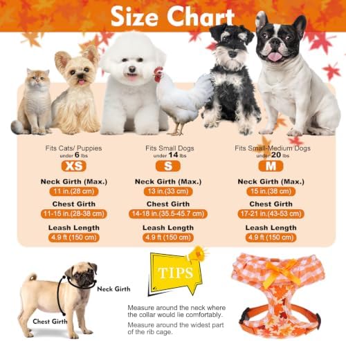 EXPAWLORER Fall Dog Harness and Leash Set Small Sized - Image 2