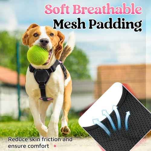 rabbitgoo Escape Proof Dog Harness - Image 7