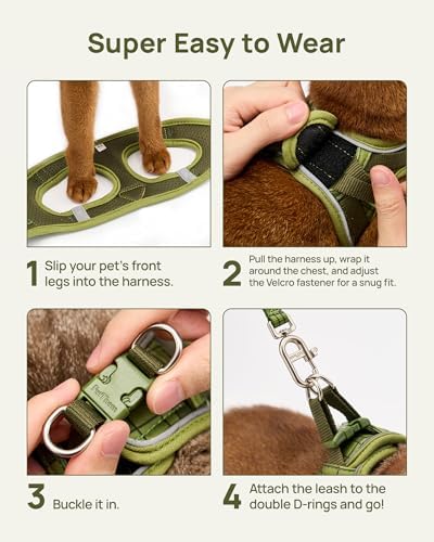 PetThem Upgraded Cat Harness and Leash Set - Image 2