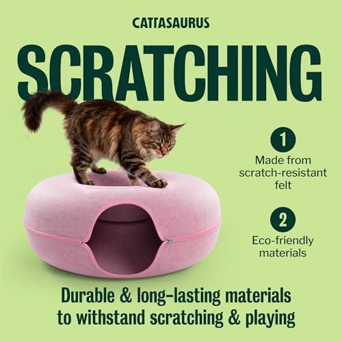 Cattasaurus Peekaboo Cat Cave Donut - Image 6