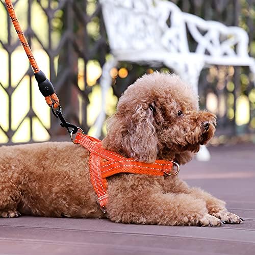 Plutus Pet No Pull Dog Harness for Small Dogs, Breathable Mesh Padded - Image 5