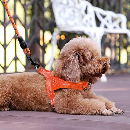 Plutus Pet No Pull Dog Harness for Small Dogs, Breathable Mesh Padded - Image 5