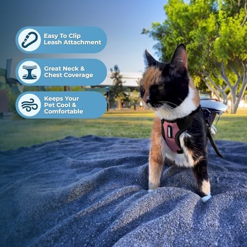 Voyager Step-in Lock Cat Harness & Leash Set - Image 5