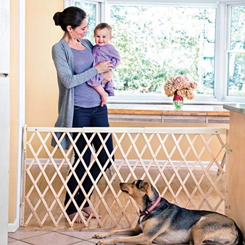 Evenflo Expansion Walk-Thru Room Divider Baby Gate - Image 5