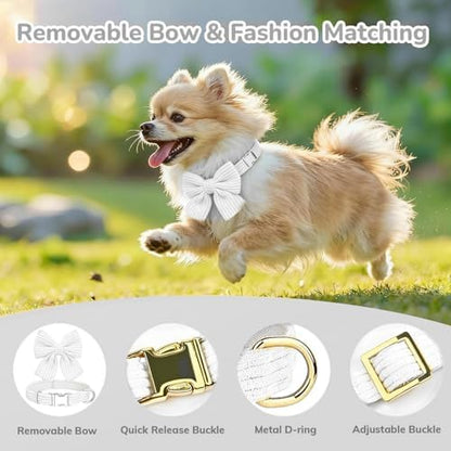 Small Dog Collar Harness and Leash Set - Image 4