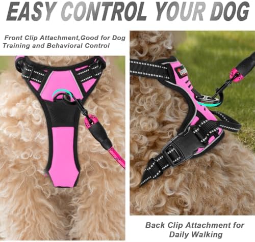 BARKBAY Dog Harness No Pull for Small Sized Dog Front Back Clips, Dog Vest - Image 2