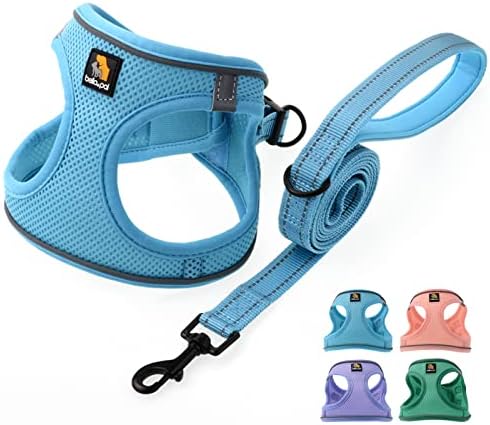 BELLA & PAL Step in Puppy Harness and Leash Set by BELLAPAL