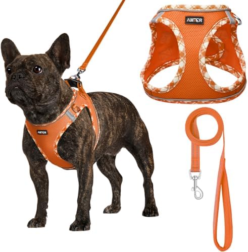 AMTOR Small Dog Harness with Leash Set, No Escape Easy Walk Puppy Harnesses by AMTOR