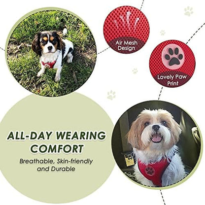SlowTon Dog Seat Belt and Harness - Image 5