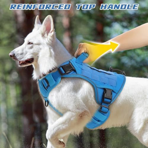 WINGOIN Blue Tactical Dog Harness - Image 3
