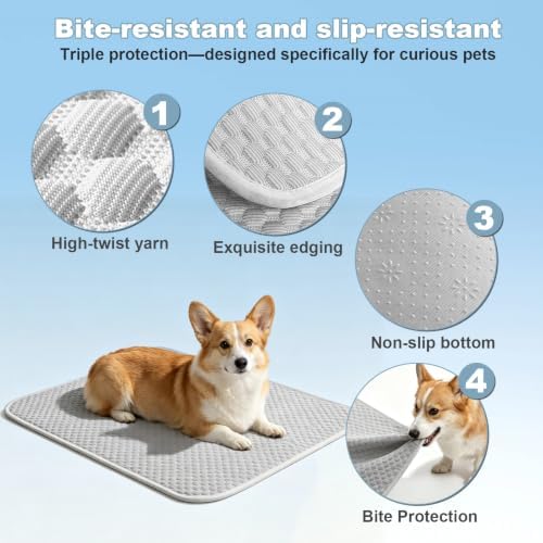 GOLOPET Dog Cooling Mat 20x26in - Image 2